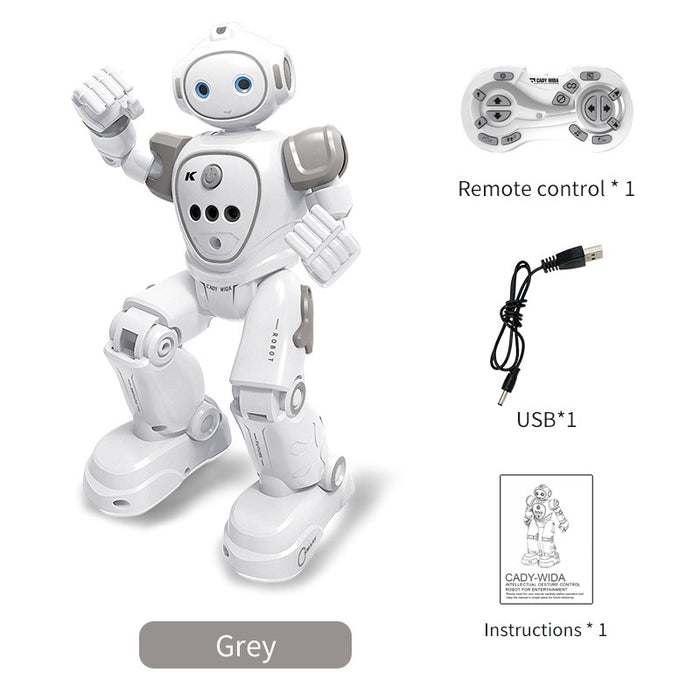 JJRC R21 Intelligent Sensing RC Robot CADY WIDA Programming Gesture Control Entertainment-RC Toys China-gray-RC Toys China